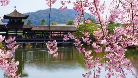 Spring in Kyoto wallpaper