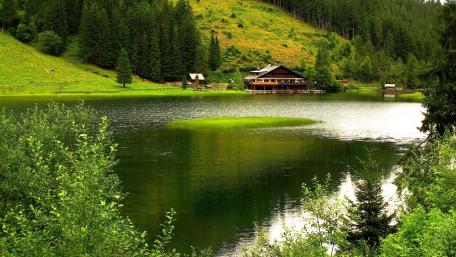 Green Oasis in Gilan’s Tranquil Valley wallpaper