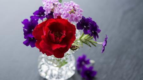 Vibrant Bouquet of Colorful Flowers in a Crystal Vase wallpaper