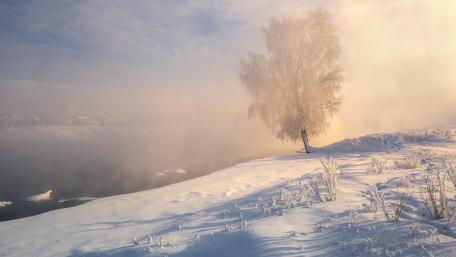Silent Solitude Amidst Winter's Embrace wallpaper