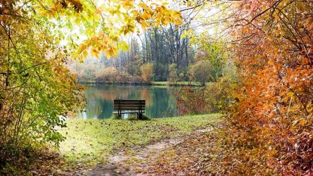 Quiet Autumn Retreat by the Lake wallpaper
