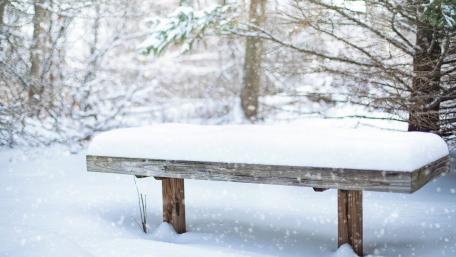 Serene Winter Bench in a Snowy Landscape wallpaper