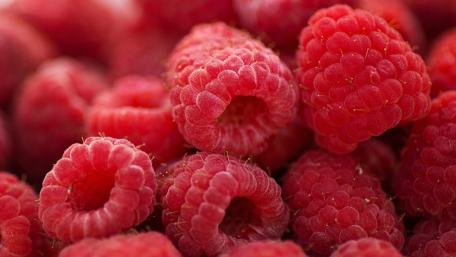 Vibrant Raspberries Wallpaper wallpaper