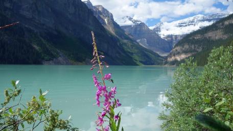 Serenity by the Lake and Mountains wallpaper