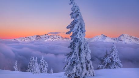 Winter Wonderland Above the Clouds wallpaper
