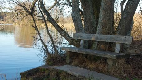 Serene Lakeside Bench View wallpaper