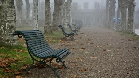 Serene Foggy Park Pathway with Benches wallpaper