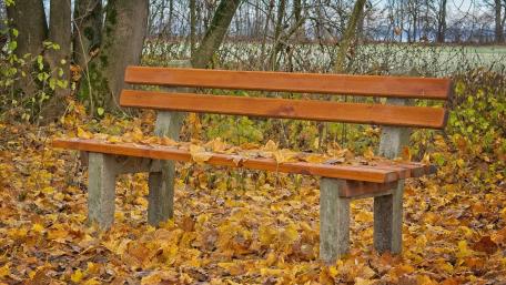 Rustic Autumn Bench Surrounded by Nature's Palette wallpaper