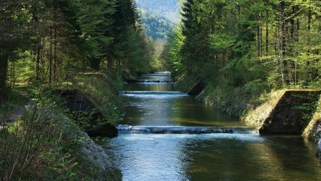 Tranquil Stream Surrounded by Lush Forests wallpaper