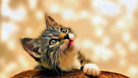 Charming Cat Portrait with Artistic Flair wallpaper