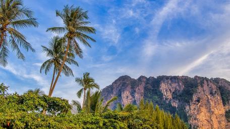 Tranquil Paradise Awakens Under The Morning Sky wallpaper