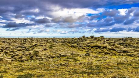Vast Green Landscape Under Dynamic Skies wallpaper