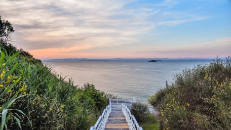 Stairway to Serene Waterscape wallpaper