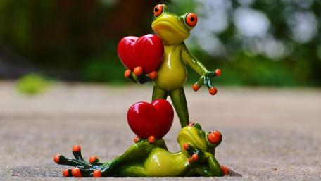 Frogs in Love Bringing Joy and Laughter wallpaper