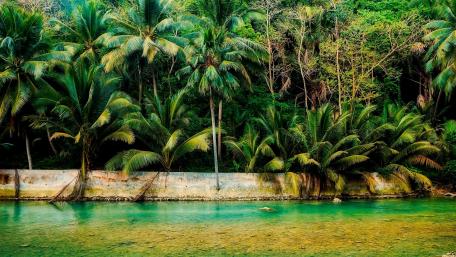 Tropical Serenity Awaits wallpaper