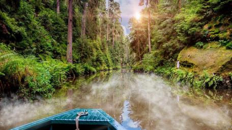 Serene Jungle River Journey wallpaper