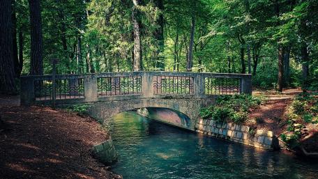 Serene Forest Bridge Over Tranquil Stream wallpaper