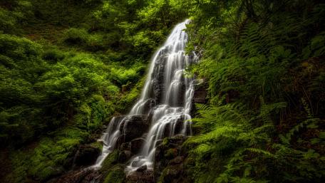 Serene Waterfall Embraced by Lush Greenery wallpaper