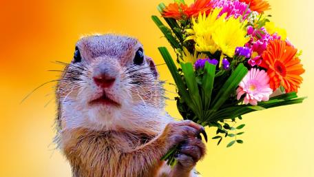 Whimsical Rodent with a Colorful Bouquet wallpaper