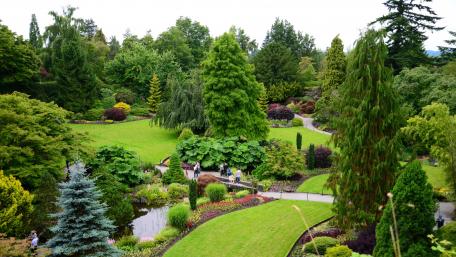 Tranquil Park Oasis of Greenery and Blossoms wallpaper