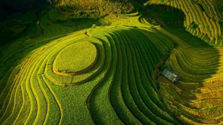 Lush Green Terraces of Nature's Masterpiece wallpaper