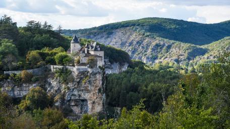 Majestic Castle Amidst Lush Greenery wallpaper