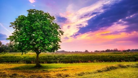 Majestic Solitude Under Vibrant Skies wallpaper