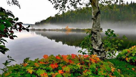 Tranquil Autumn Reflection in Nature’s Embrace wallpaper