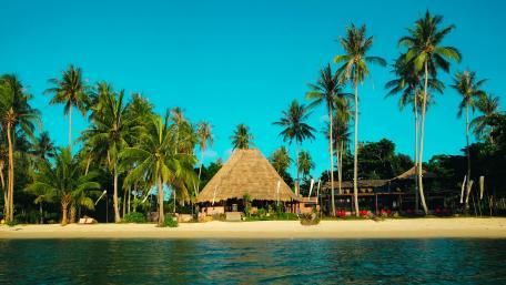 Tropical Paradise on a Serene Beach wallpaper