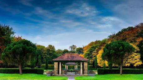 Serene Autumn Retreat in Nature's Embrace wallpaper