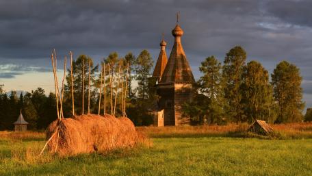 Rustic Serenity in Golden Light wallpaper
