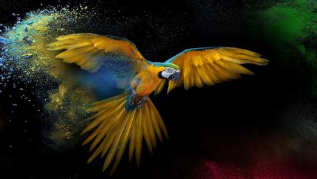 Vibrant Parrot in a Fantasy World wallpaper