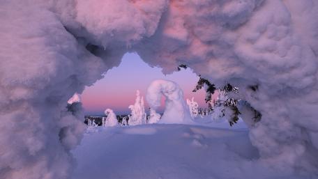 Winter Wonderland Framed by Snowy Pines wallpaper