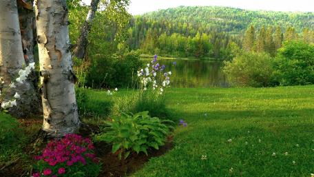 Serene Lakeside Retreat with Vibrant Flora wallpaper