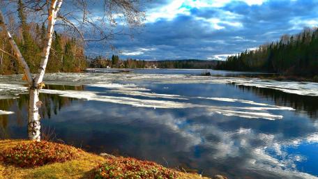 Tranquil Reflections of Nature's Beauty wallpaper