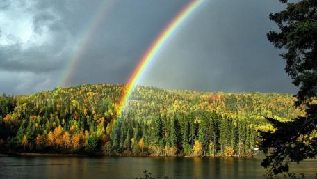 Vibrant Rainbow Over Serene Landscape wallpaper