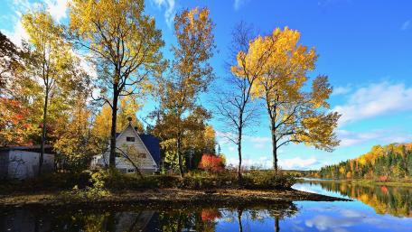 Autumn Bliss by the Serene Lake wallpaper