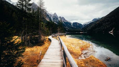Serene Pathway Through Nature's Beauty wallpaper