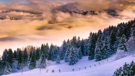 Serene Winter Wonderland wallpaper