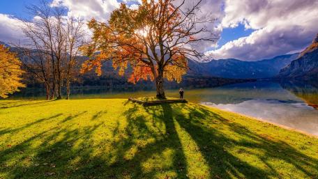 Autumn Serenity by the Lake wallpaper