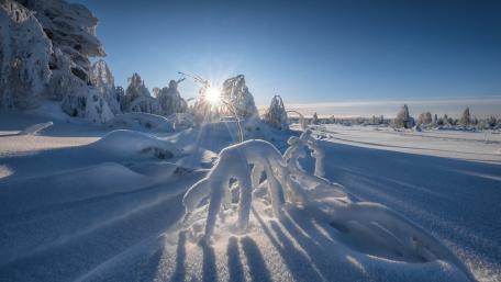 Winter Wonderland under a Blue Sky wallpaper