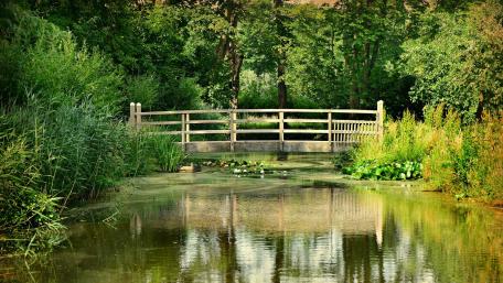 Serene Wooden Bridge Over Tranquil Waters wallpaper