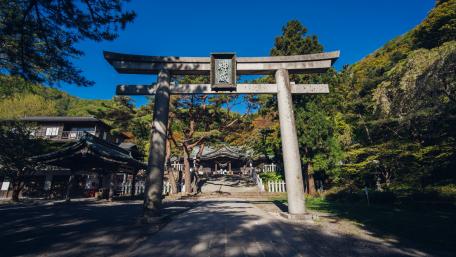Serene Shrine Gateway in a Vibrant City Landscape wallpaper