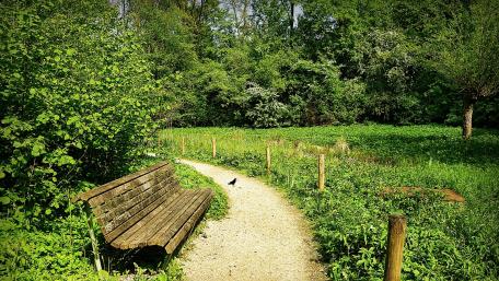 Serene Park Pathway with a Wooden Bench wallpaper