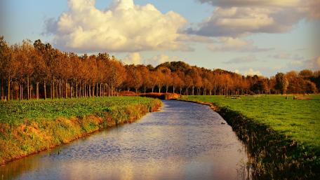 Tranquil Autumn Landscape by the Riverbank wallpaper