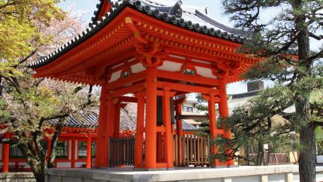 Vibrant Pagoda Amidst Urban Blossoms wallpaper