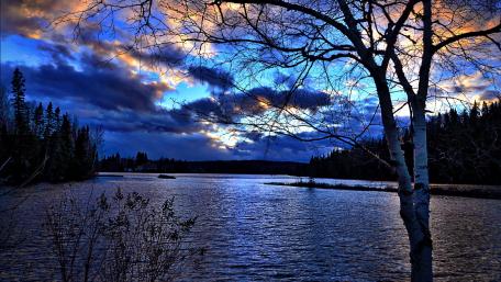 Tranquil Blue Hour at the Lakeside wallpaper