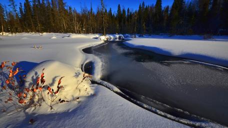 Winter Serenity by a Frozen River wallpaper