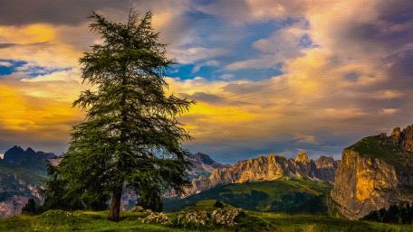 Solitary Majesty of Nature wallpaper