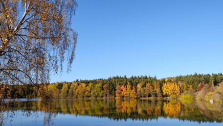 Autumn Serenity by the Lake wallpaper
